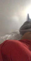 2019-02-26 11.16.32-0KhWCGoU.mov
